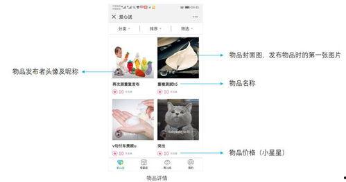 明星爆料操作指南最新,最新操作指南全解析